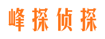 新县市婚外情调查